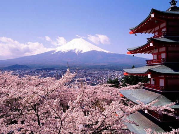 Núi Phú Sĩ và các công viên ngắm hoa anh đào