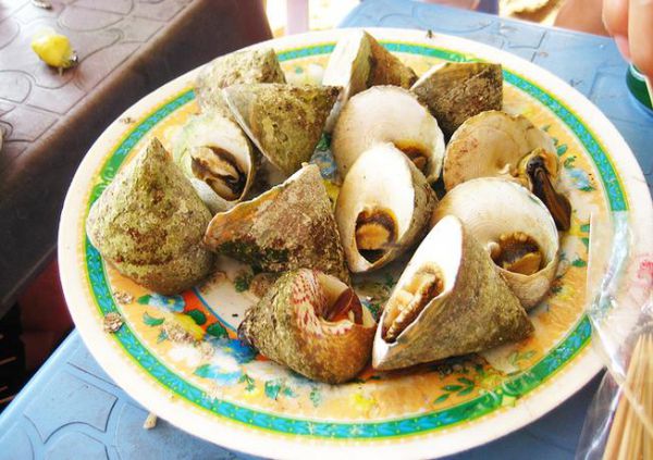 Ốc vú nàng - món ăn được yêu thích trong các chuyến du lịch Côn Đảo