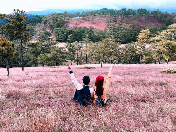 Tháng 11 lên Đà Lạt chụp hình với đồi cỏ hồng