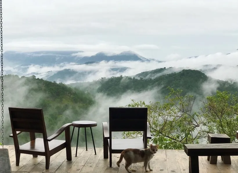 Quán cà phê săn mây ở Đà Lạt được yêu thích nhất