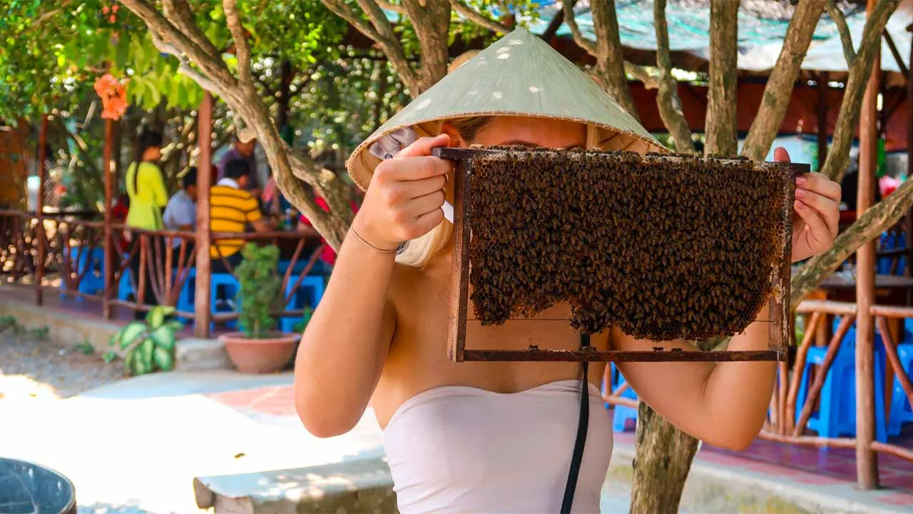 Du khách tham quan trang trại mật ong tại Khu du lịch sinh thái Cồn Quy