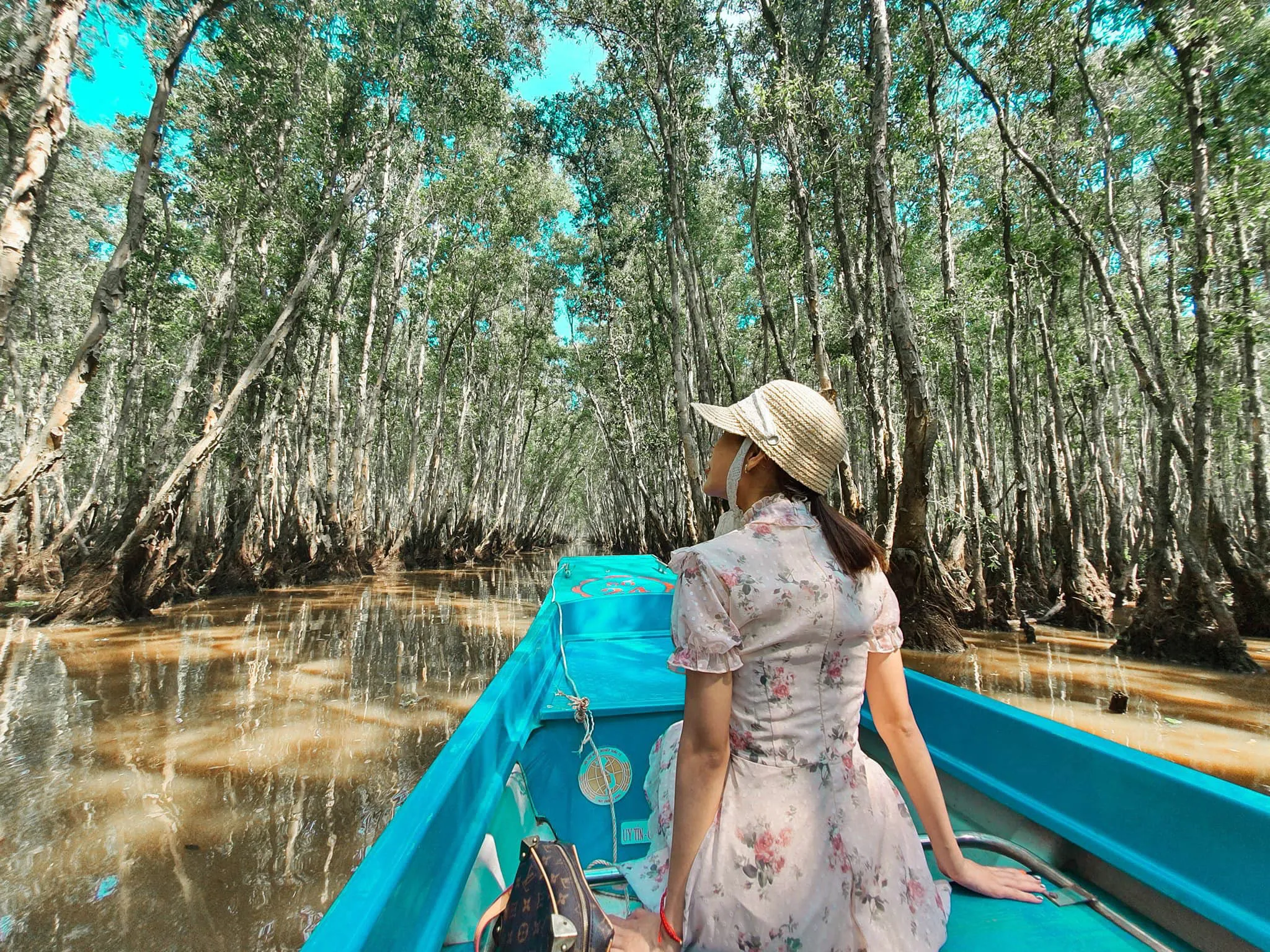 Trà Sư là khu rừng tràm đẹp nhất và nổi tiếng nhất Việt Nam (Ảnh Sưu tầm)