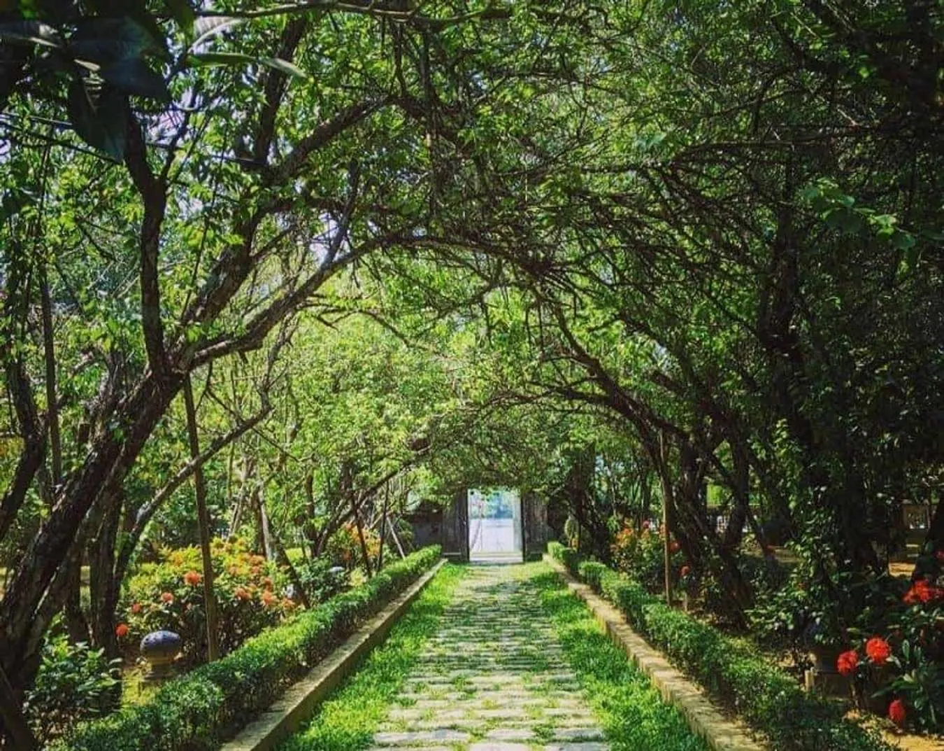 Ghé thăm nhà vườn An Hiên - nhà vườn danh tiếng ở Huế